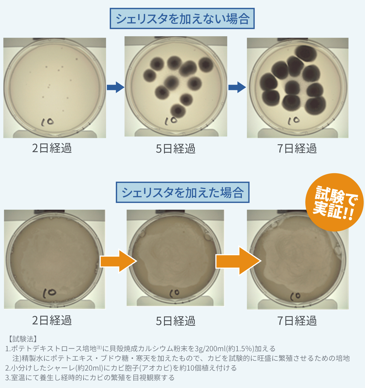 抗カビ試験結果一例