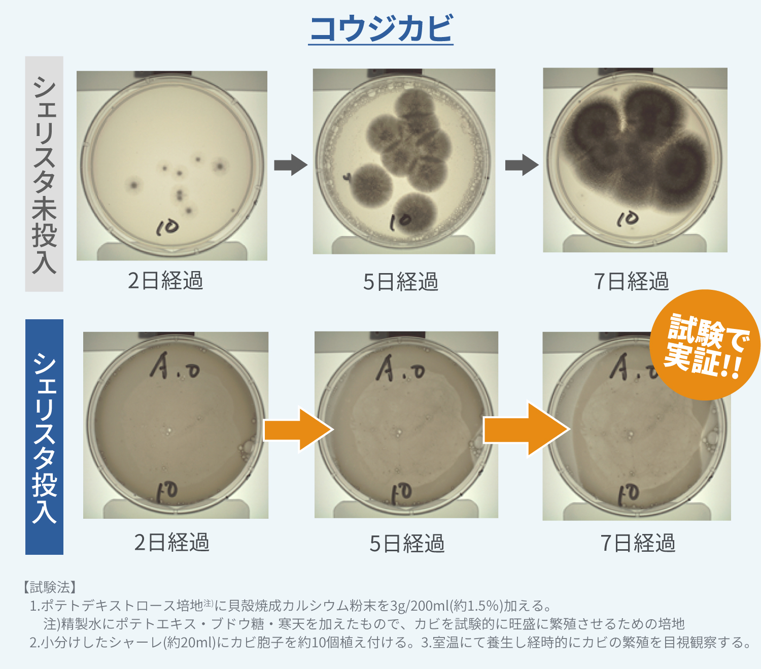 抗カビ試験結果2