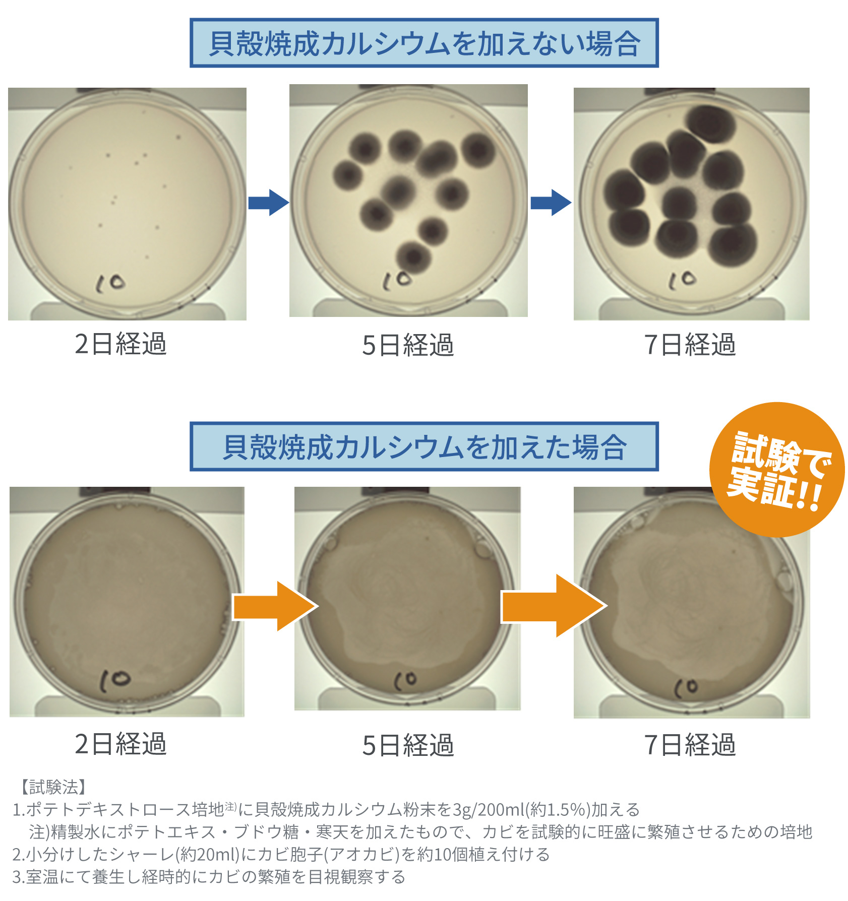 抗カビ試験結果の一例
