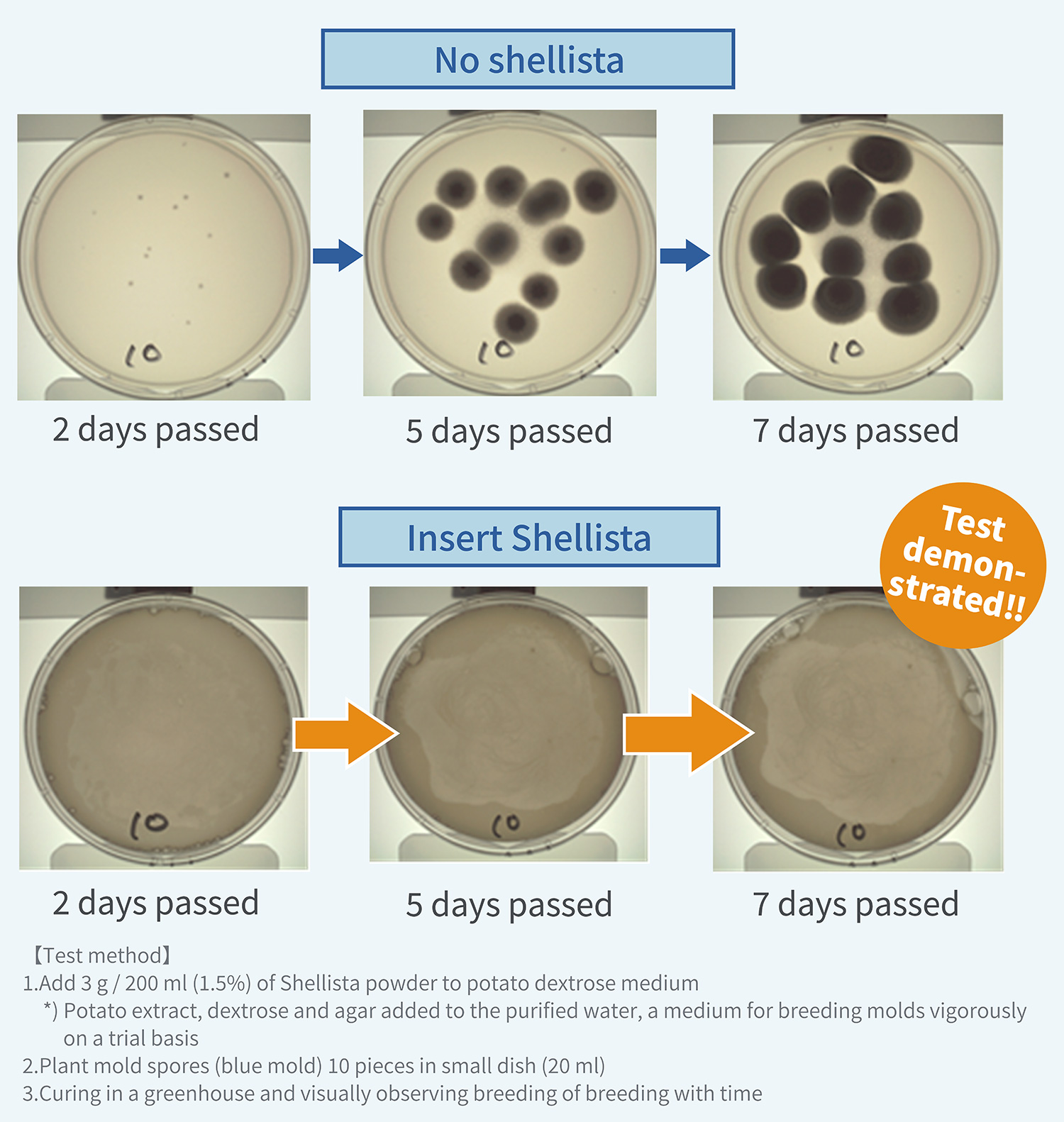 Anti-mold test result example