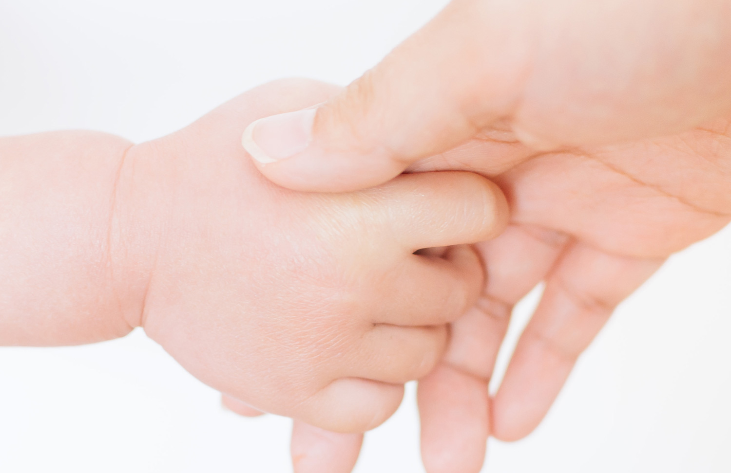 SHELLISTA_spray_250ml